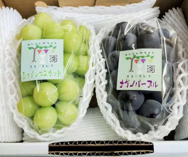 贅沢ぶどうセット